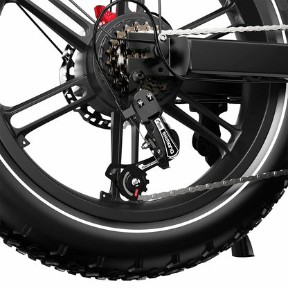 DUOTTS F20 (EU) Electric Bike