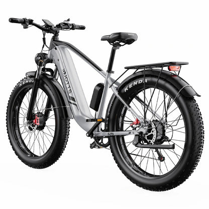 DUOTTS F26 (EU) Electric Bike