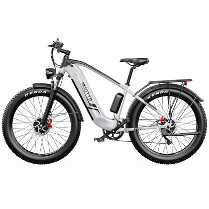 DUOTTS F26 (EU) Electric Bike