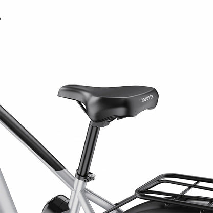 DUOTTS F26 (EU) Electric Bike