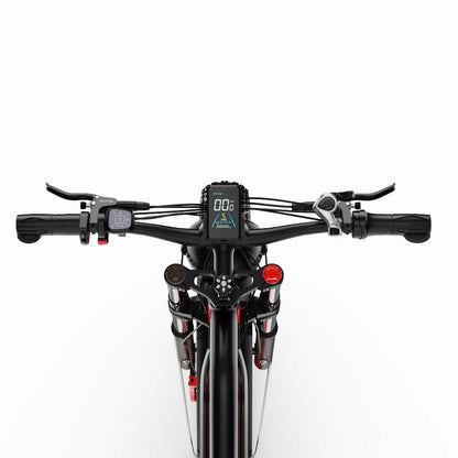 DUOTTS N26 (EU) Electric Bike