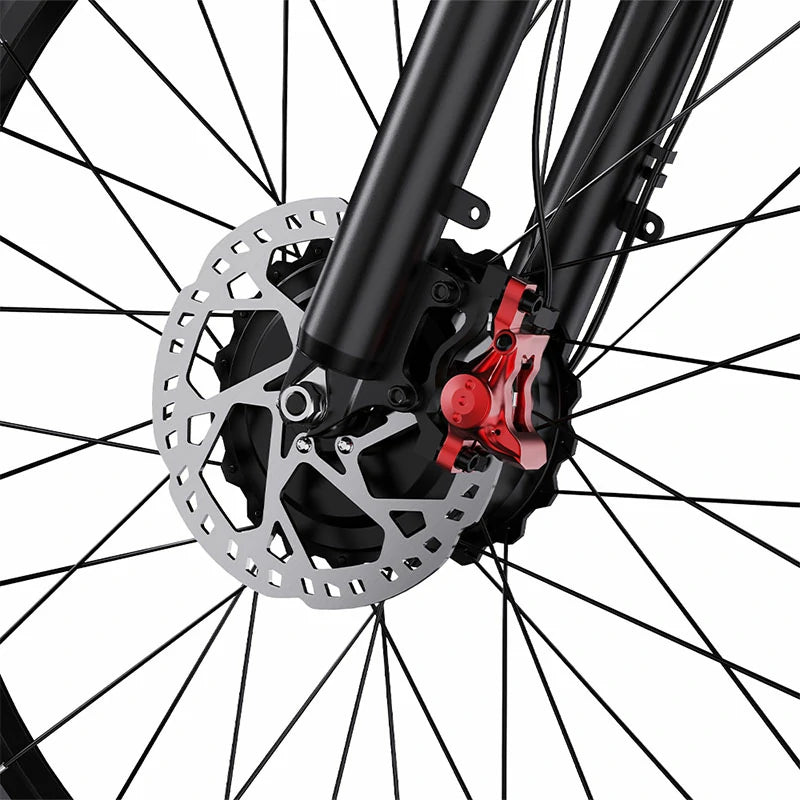 DUOTTS S26 (EU) Electric Bike