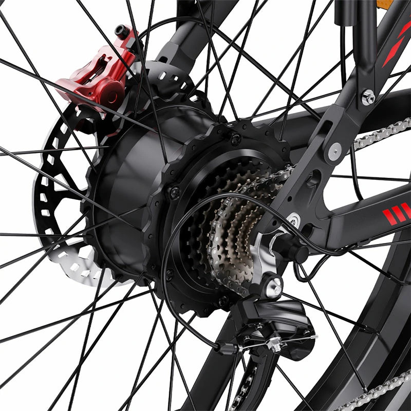 DUOTTS S26 (EU) Electric Bike