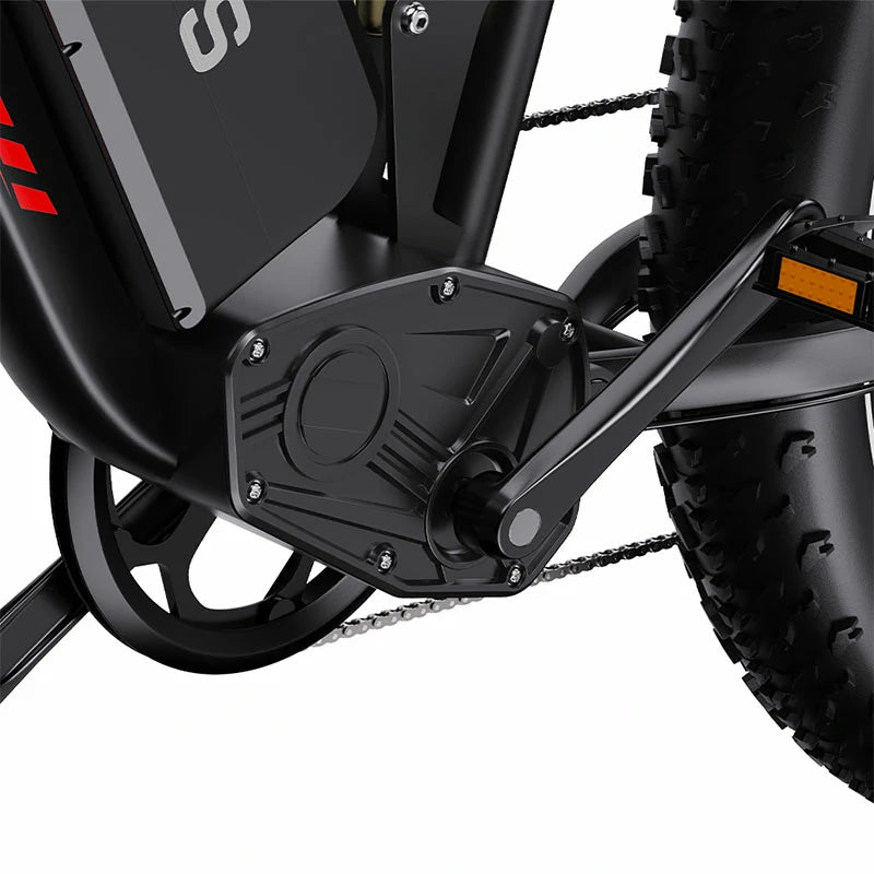 DUOTTS S26 (EU) Electric Bike