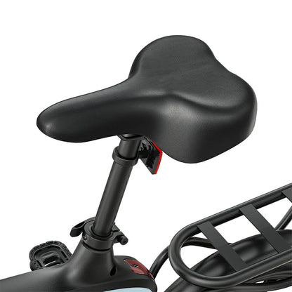 DYU C2 (EU) Electric Bike