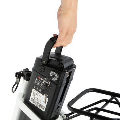 DYU C6 (EU) Electric Bike