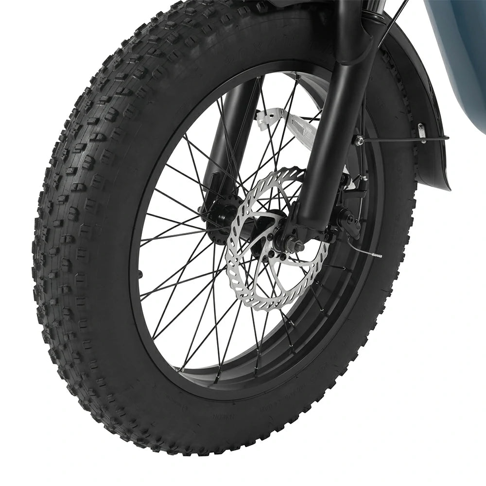 DYU FF500 (EU) Electric Bike
