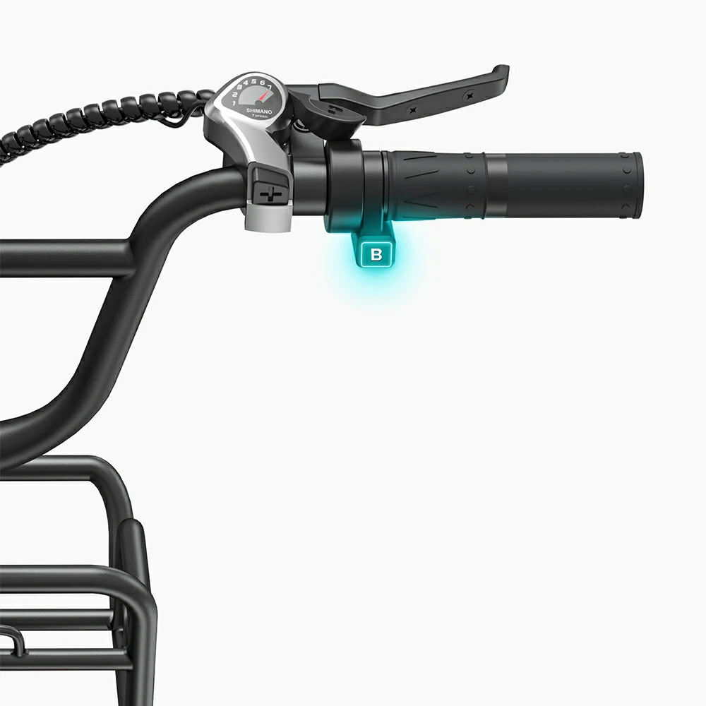 ENGWE L20 BOOST (EU) Electric Bike