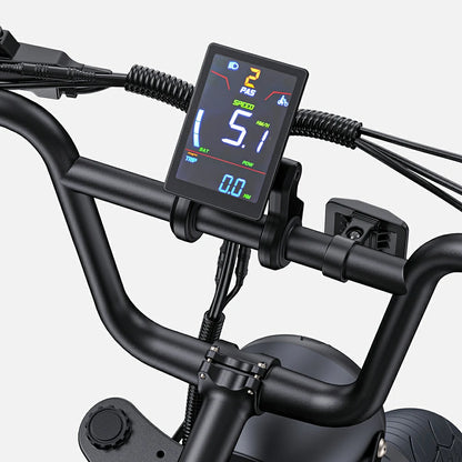 ENGWE M1 15.6Ah (EU) Electric Bike