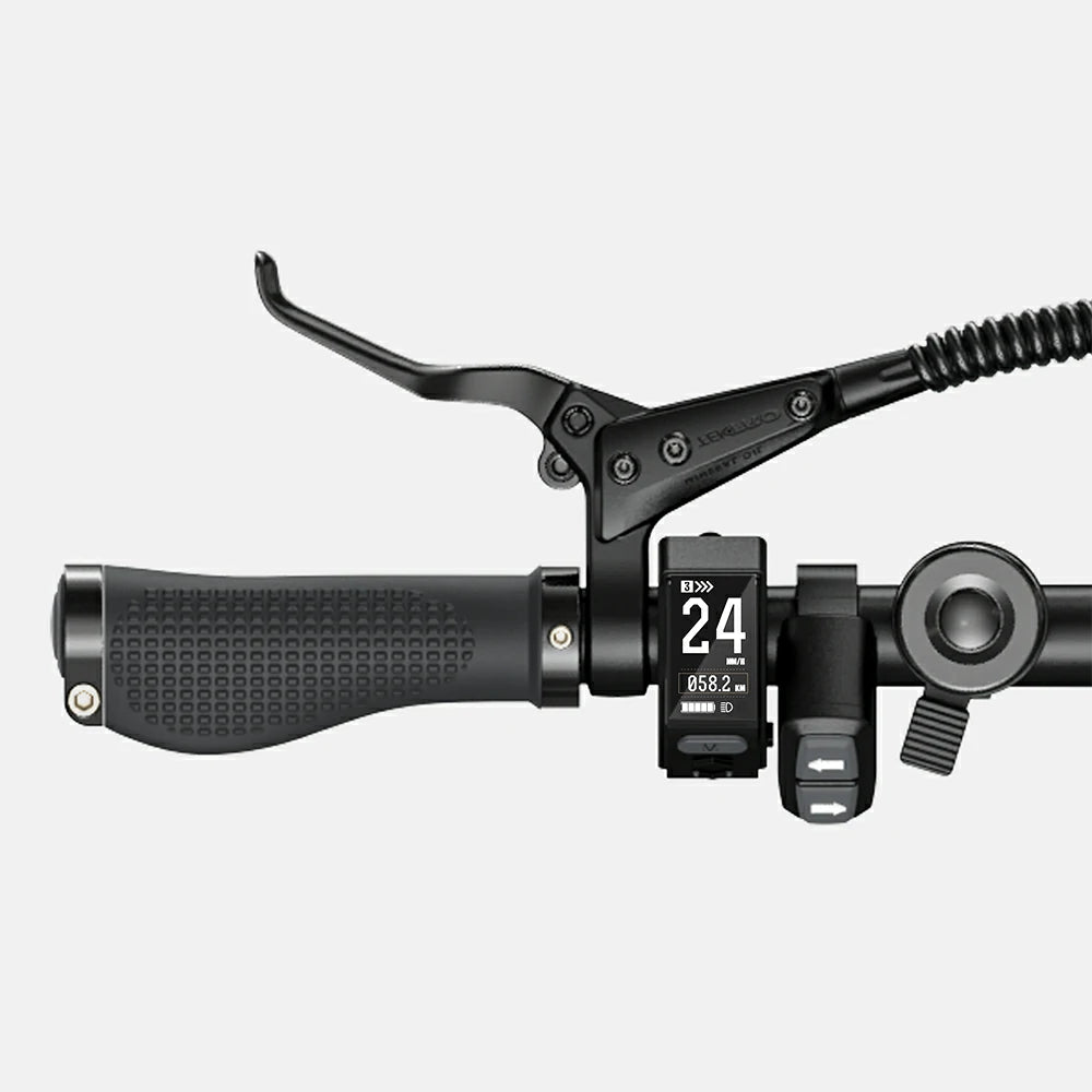 ENGWE P20 (EU) Electric Bike