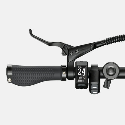 ENGWE P20 (EU) Electric Bike