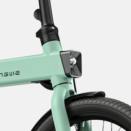 ENGWE P20 (EU) Electric Bike