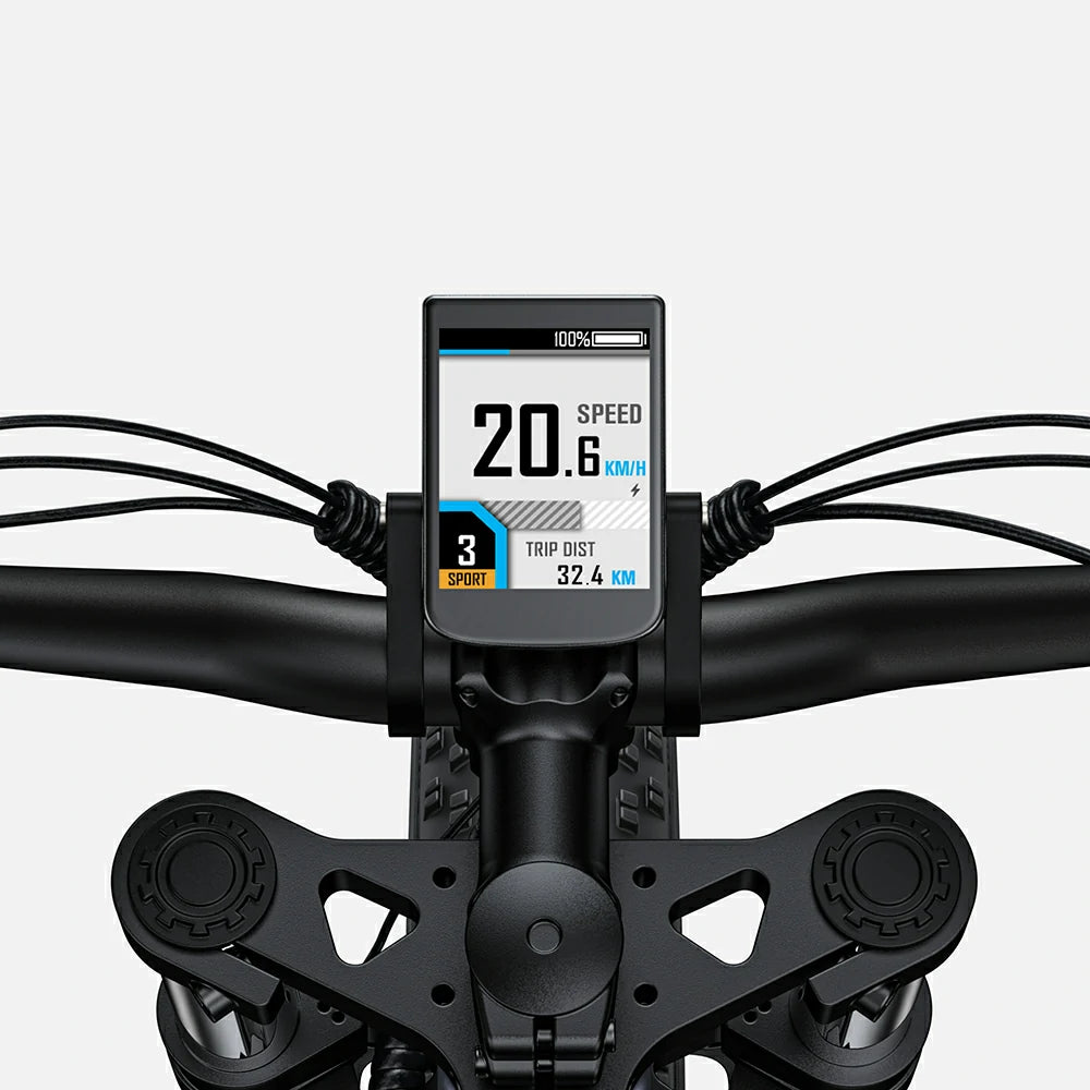 ENGWE X26 (EU) Electric Bike