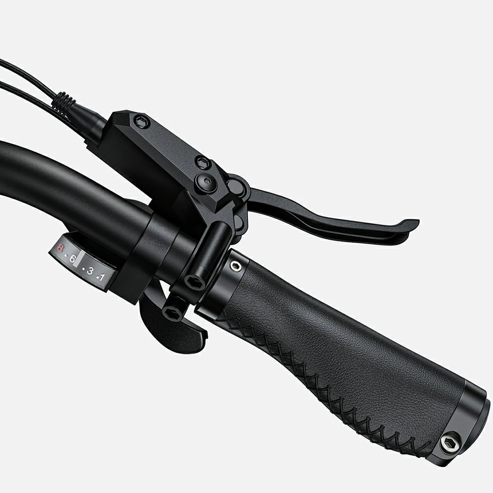 ENGWE X26 (EU) Electric Bike