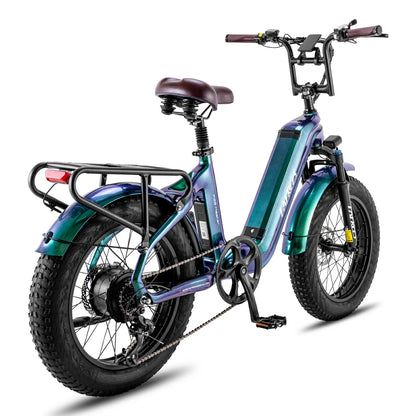 Fafrees F20 Master (EU) Electric Bike