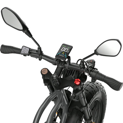 Fafrees F20 Ultra (UK) Electric Bike