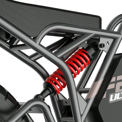 Fafrees F20 Ultra (UK) Electric Bike