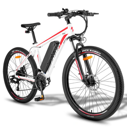 Fafrees F28 MT (EU) Electric Bike