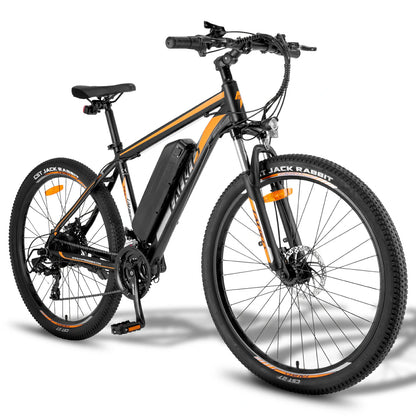 Fafrees F28 MT (EU) Electric Bike
