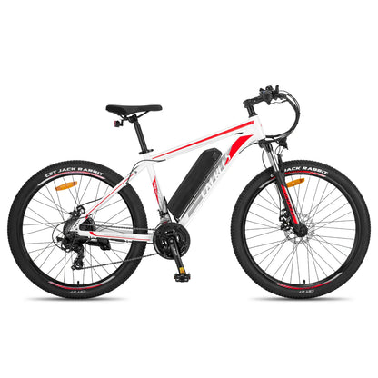 Fafrees F28 MT (EU) Electric Bike
