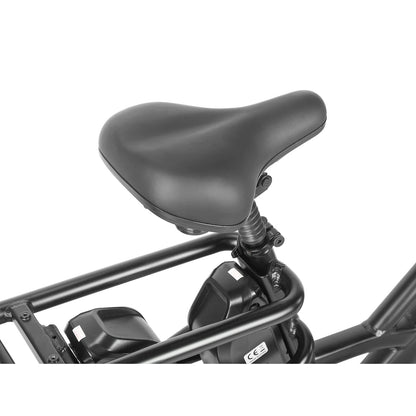 Fafrees FF20 CUV (EU) Electric Bike