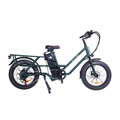 GOGOBEST GF200 (EU) Electric Bike