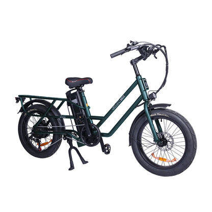GOGOBEST GF200 (EU) Electric Bike