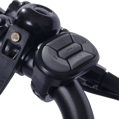 GOGOBEST GF200 (EU) Electric Bike