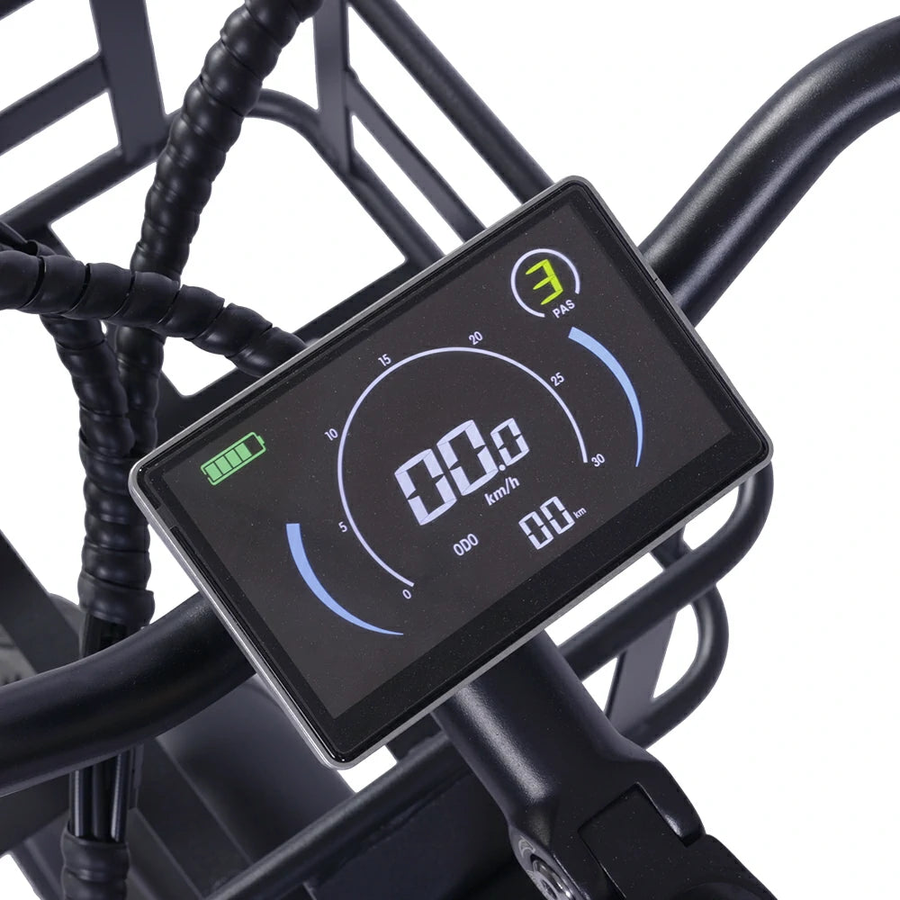 GOGOBEST GF200 (EU) Electric Bike