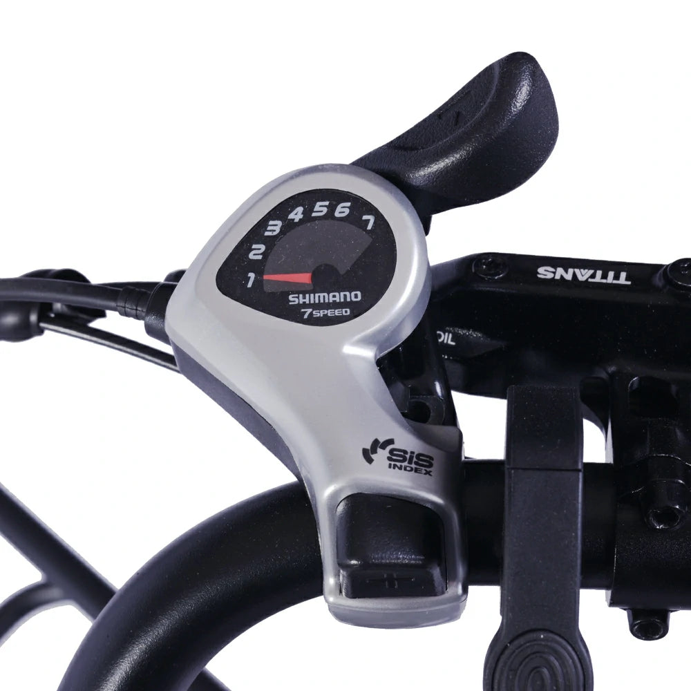 GOGOBEST GF200 (EU) Electric Bike