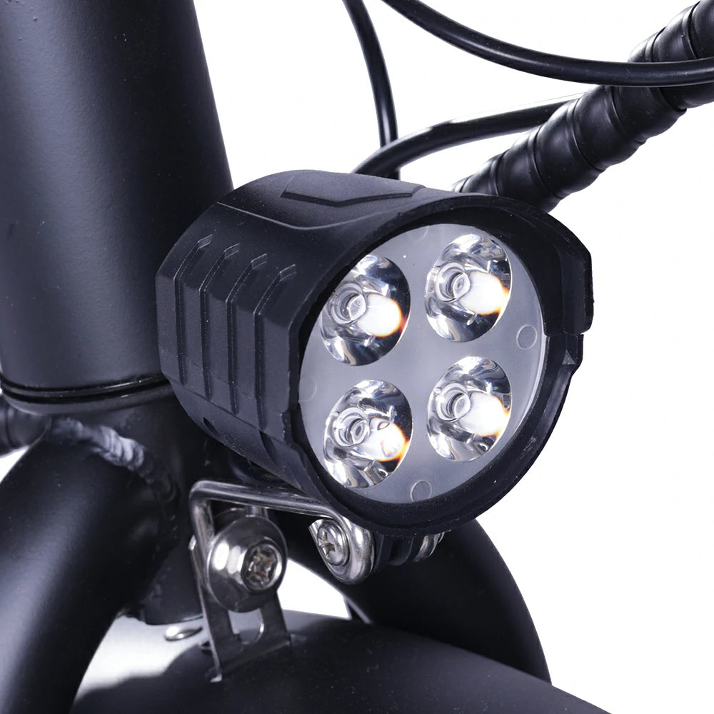 GOGOBEST GF200 (EU) Electric Bike