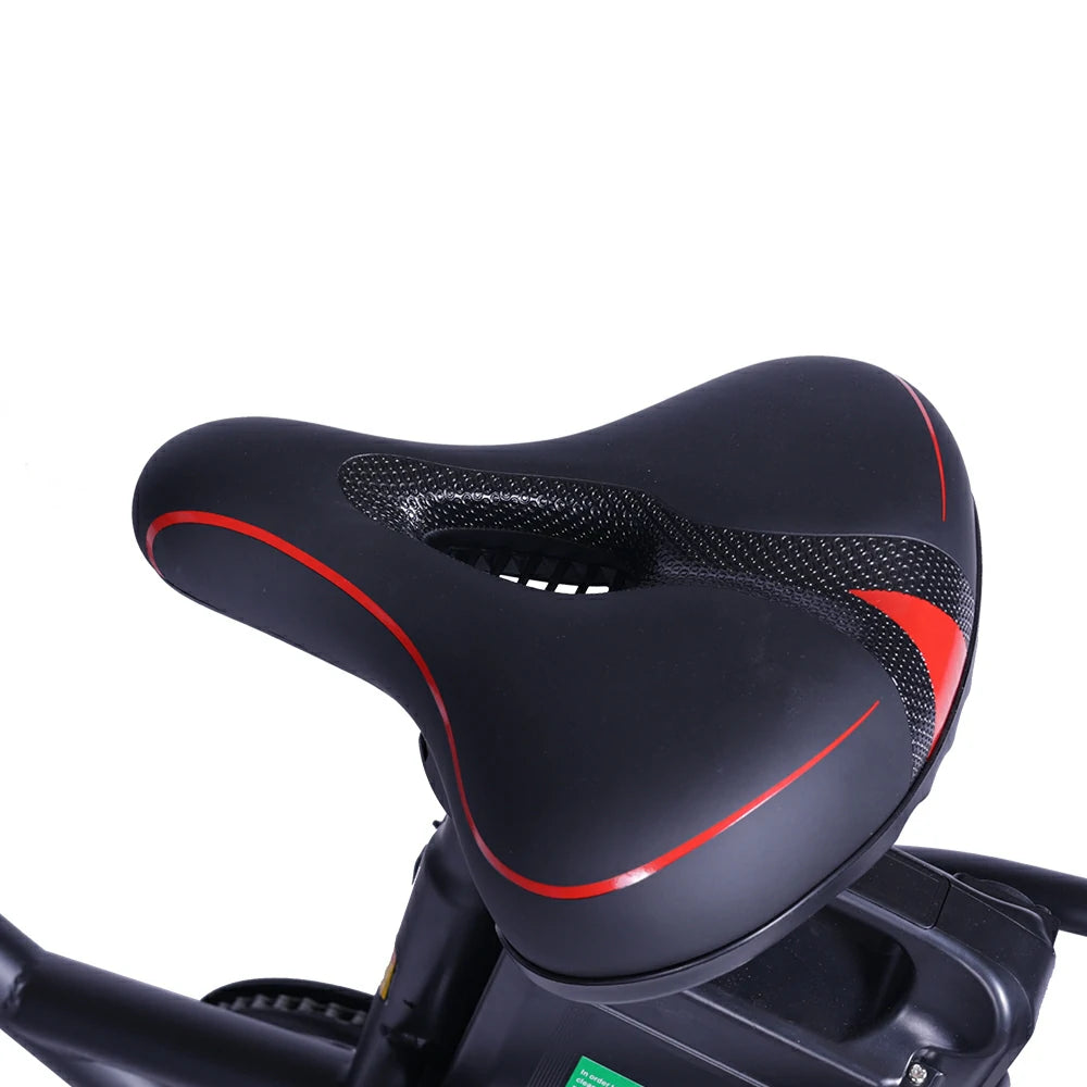 GOGOBEST GF200 (EU) Electric Bike