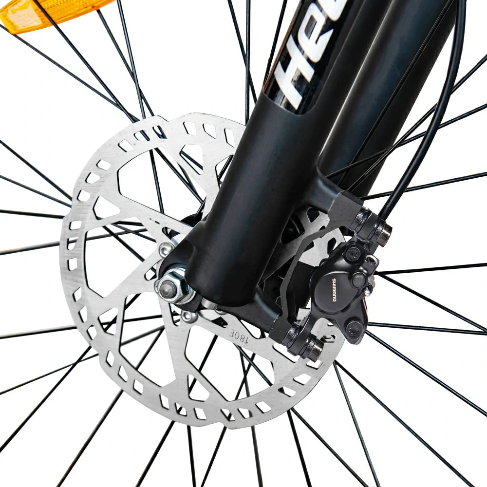 Hedatx TX19 (EU) Electric Bike