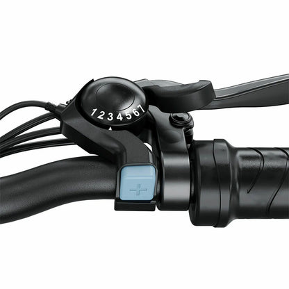 iSinwheel M10 (EU) Electric Bike