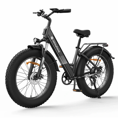 iSinwheel M60 (EU) Electric Bike