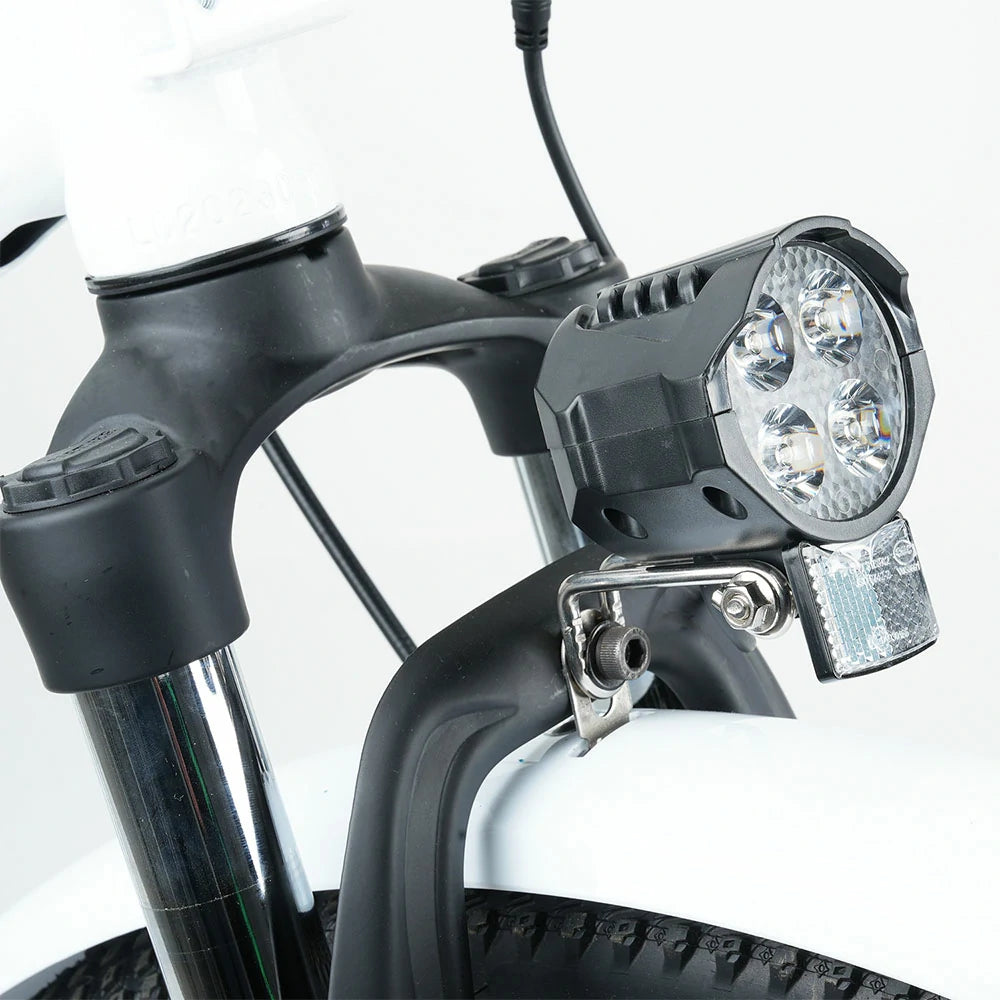 iSinwheel U2 (EU) Electric Bike