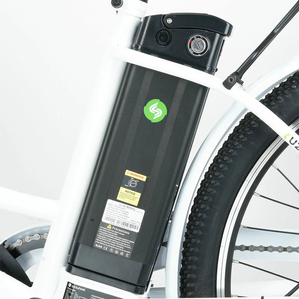 iSinwheel U2 (EU) Electric Bike