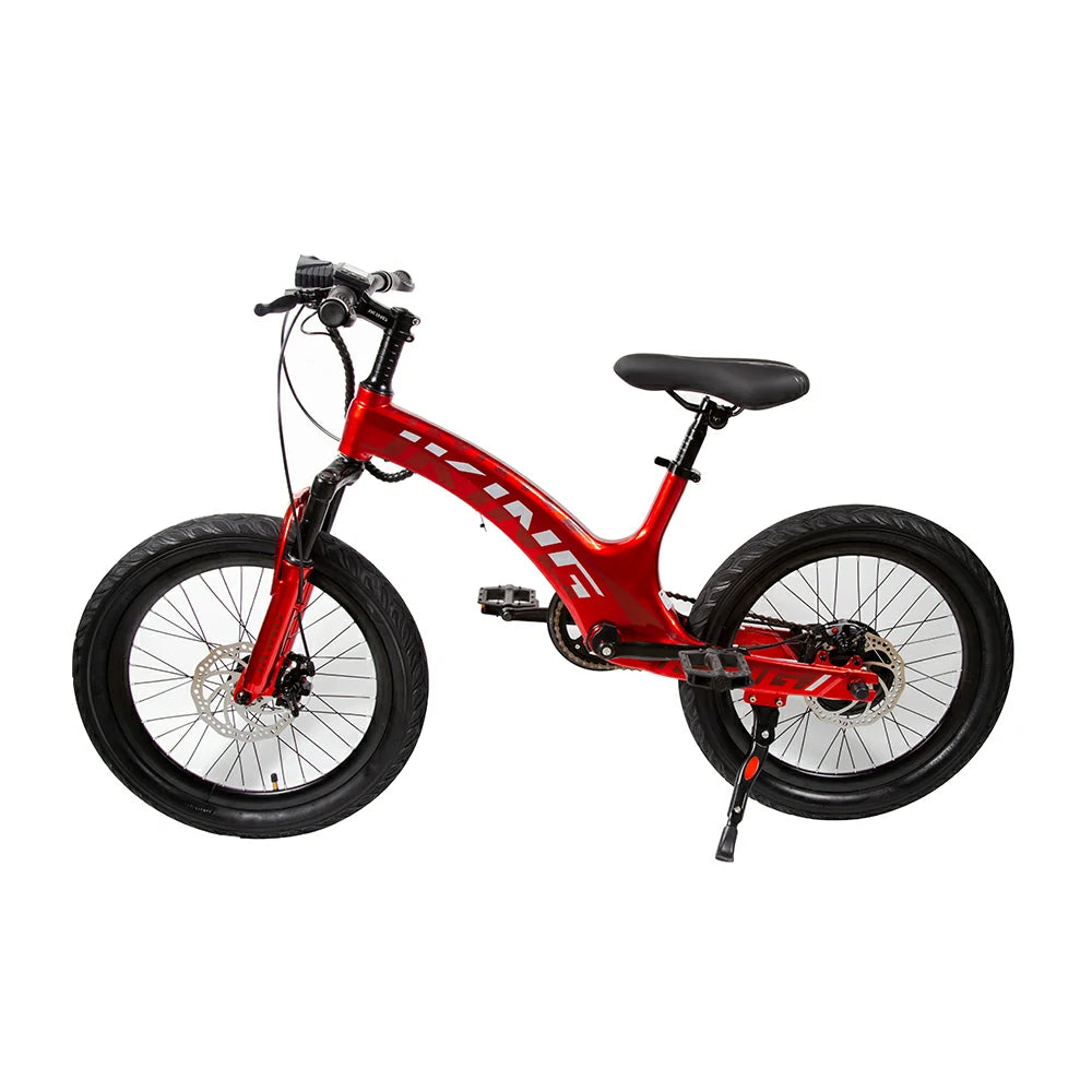 JKING C8 (EU) Electric Bike