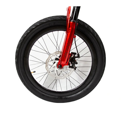 JKING C8 (EU) Electric Bike