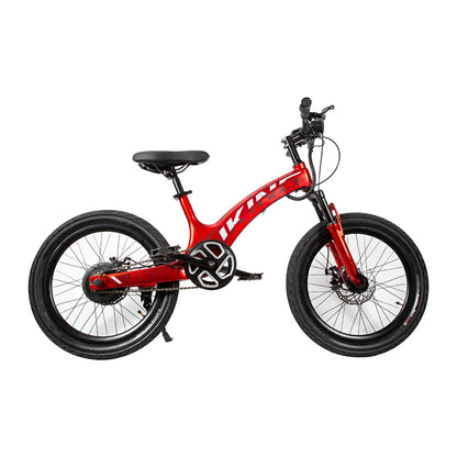 JKING C8 (EU) Electric Bike