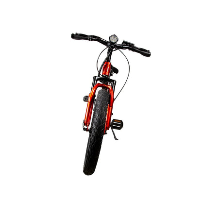 JKING C8 (EU) Electric Bike
