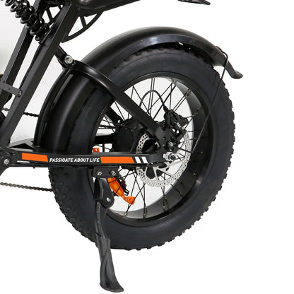 JKING FXH-002 Pro (EU) Electric Bike