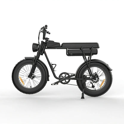 JKING FXH-006 (EU) Electric Bike