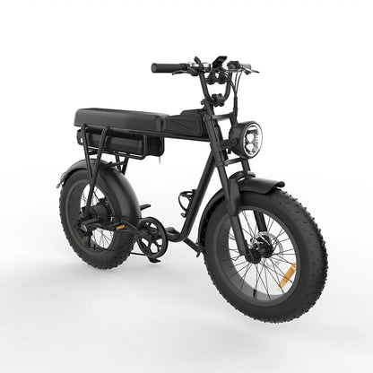 JKING FXH-006 (EU) Electric Bike