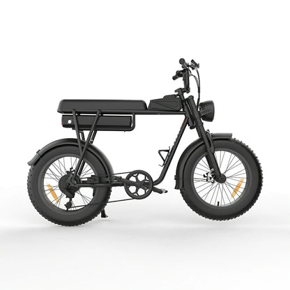JKING FXH-006 (EU) Electric Bike