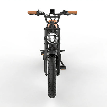 JKING FXH-006 (EU) Electric Bike