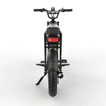 JKING FXH-006 (EU) Electric Bike