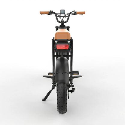 JKING FXH-006 (EU) Electric Bike