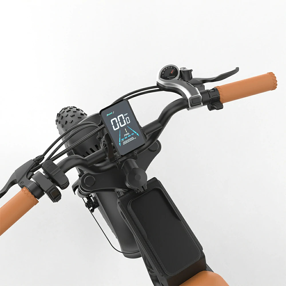 JKING FXH-006 (EU) Electric Bike