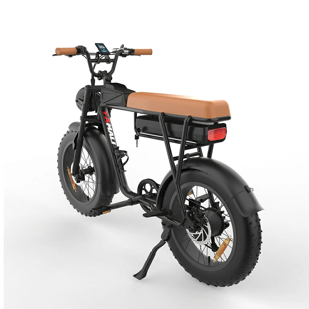 JKING FXH-006 (EU) Electric Bike